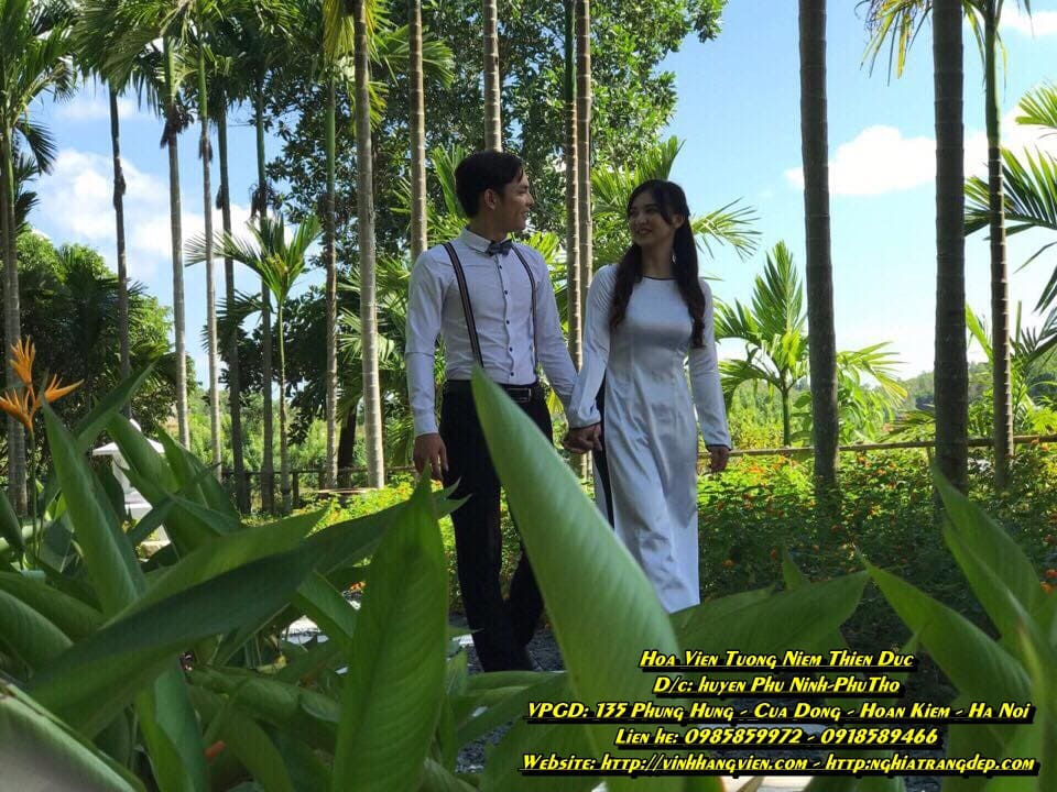 xe dien phuc vu khach hang
