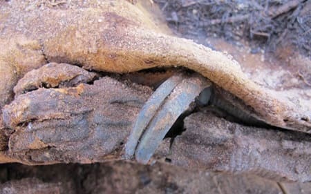 Xác ướp của một đứa trẻ, khoảng 18 tháng tuổi được  bọc trong một lớp áo. Nó có thể được chôn cất và ướp xác cách đây 1.500 năm. (Ảnh: Kerry Muhlestein).